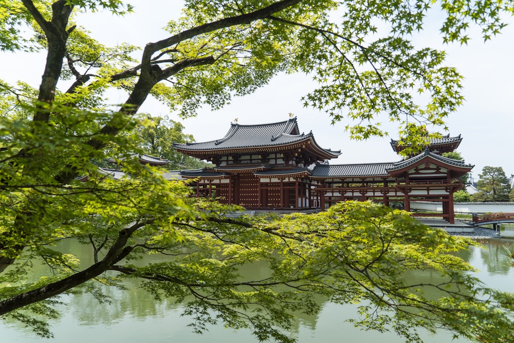 Фото тура: Удзи